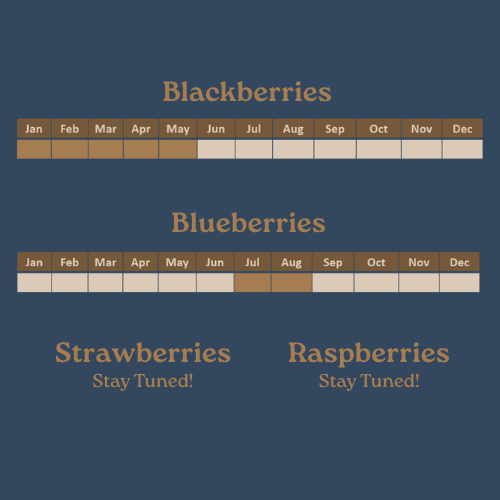 Craveabelles landing page (96 x 40 px) (2)