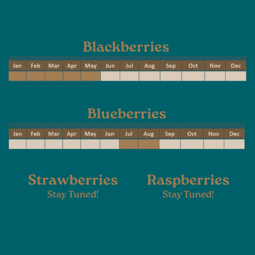 Craveabelles landing page (96 x 40 px) (3)